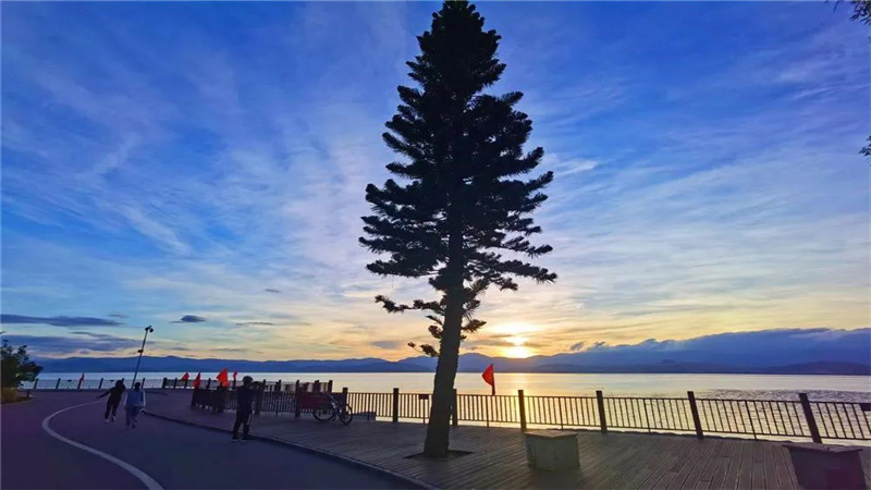 大理濃烈的夏日味道，都藏在洱海生態廊道