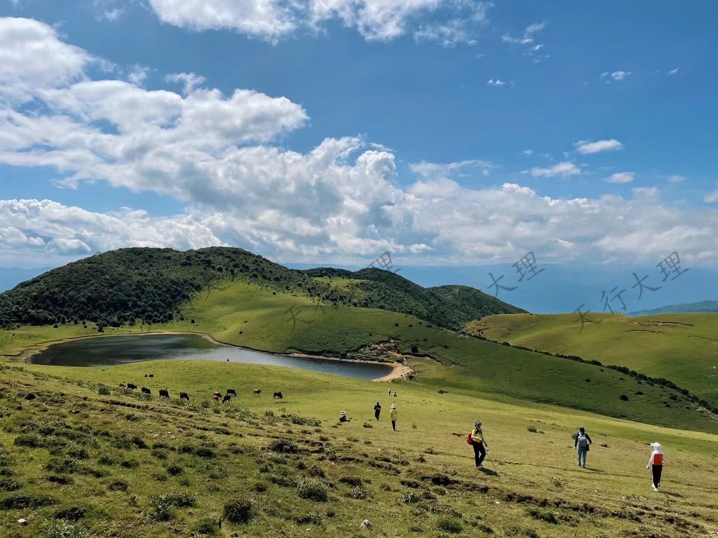 大理洱源鳥吊山徒步露營