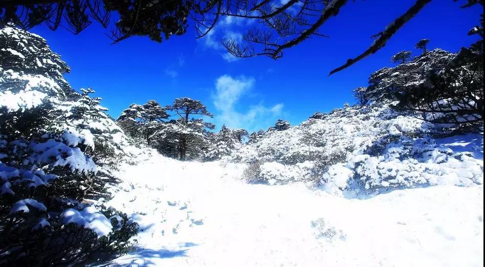 當蒼山雪遇見洱海藍，人民網都忍不住打call     大理傳媒公司