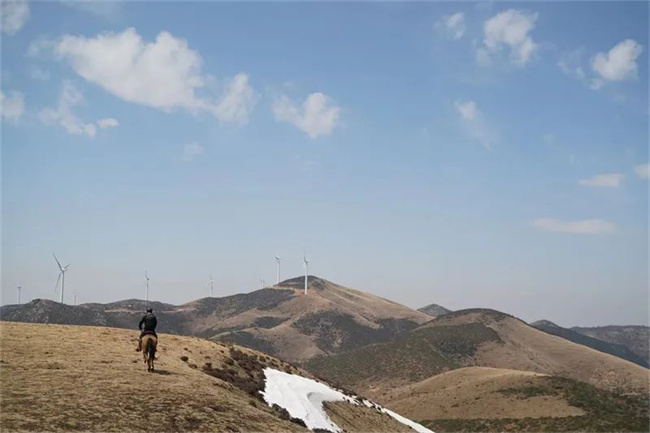 大理會獎團建研學旅游小眾項目推薦：大喜馬幫馬術