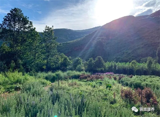 大理普陀泉溫泉康養(yǎng)基地